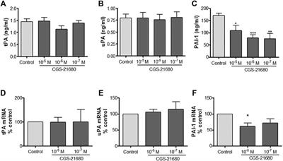 Annexin A2-Mediated Plasminogen Activation in Endothelial Cells Contributes to the Proangiogenic Effect of Adenosine A2A Receptors